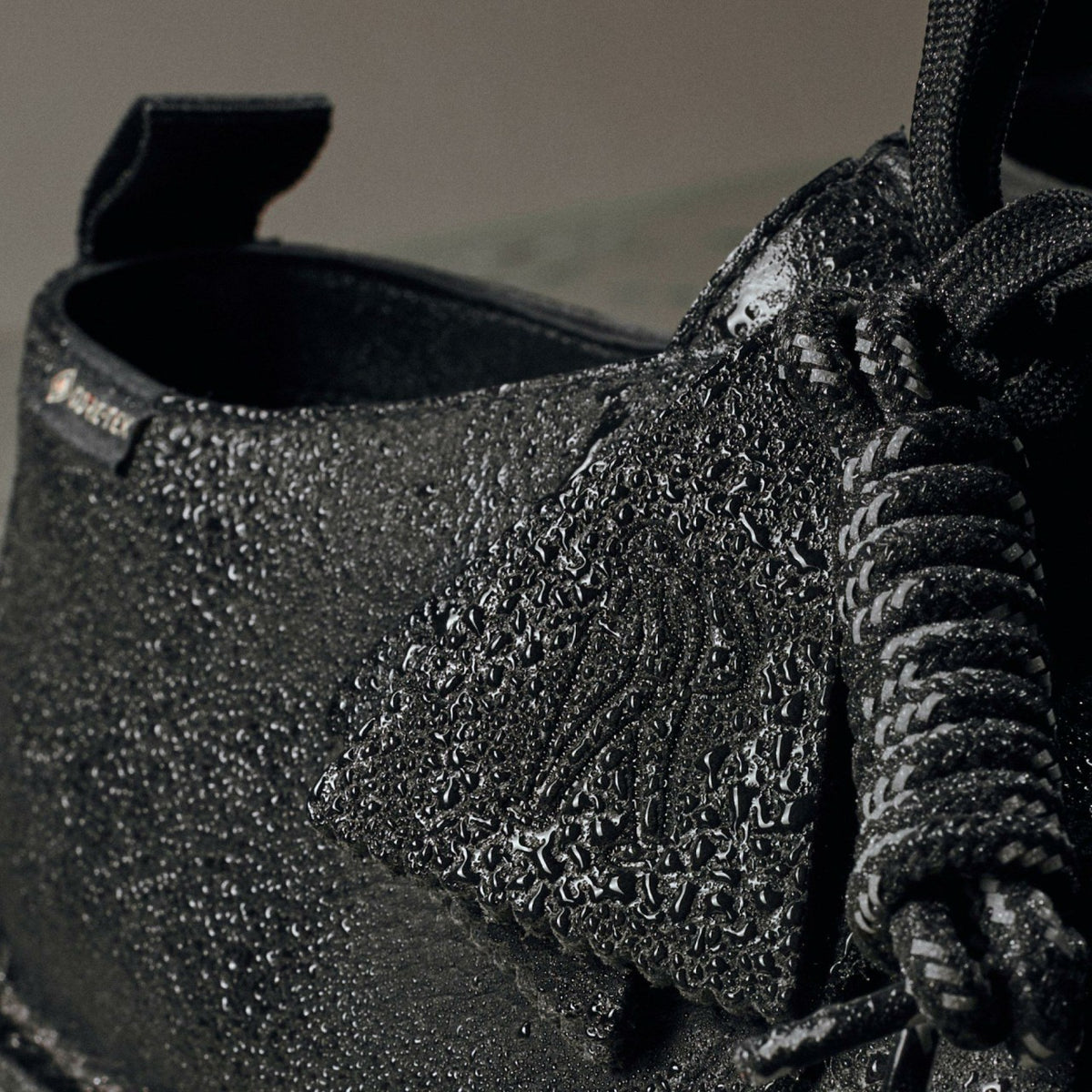 Clarks Desert Trek GORE-TEX Black Leather
